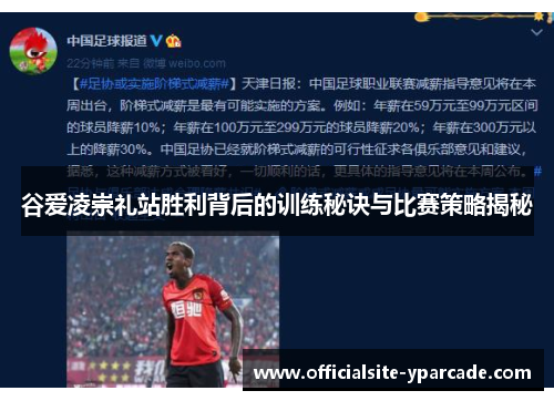 谷爱凌崇礼站胜利背后的训练秘诀与比赛策略揭秘 谷爱凌崇礼站胜利背后的训练秘诀与比赛策略揭秘