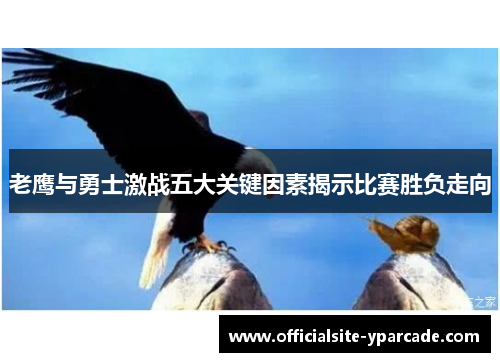 老鹰与勇士激战五大关键因素揭示比赛胜负走向 老鹰与勇士激战五大关键因素揭示比赛胜负走向