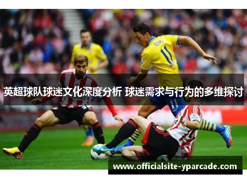英超球队球迷文化深度分析 球迷需求与行为的多维探讨 英超球队球迷文化深度分析 球迷需求与行为的多维探讨