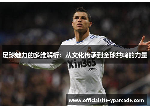 足球魅力的多维解析：从文化传承到全球共鸣的力量