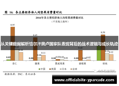 从关键数据解析恰尔汗奥卢国家队表现背后的战术逻辑与成长轨迹 从关键数据解析恰尔汗奥卢国家队表现背后的战术逻辑与成长轨迹