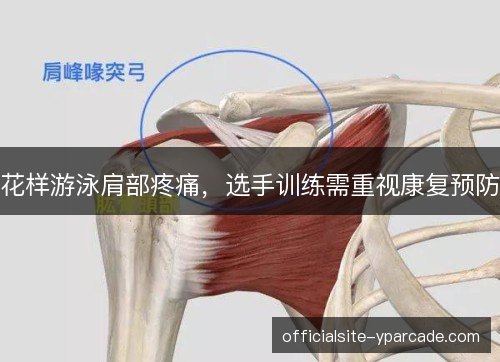 花样游泳肩部疼痛，选手训练需重视康复预防